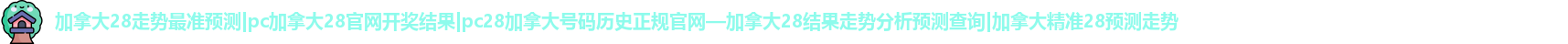 加拿大28